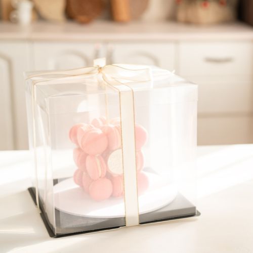 Rigid Transparent Packaging 